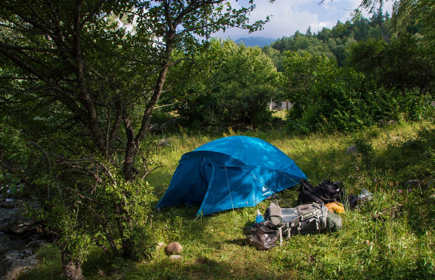 Peaceful camping scene with a blue tent set amidst lush greenery, perfect for nature lovers.